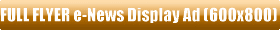 Click Here to Advertise Your FULL FLYER (600x800 pixels or similar) Graphical Display Ad in the next Metro HOUSTON e-Newsletter for only $100