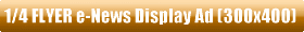 Click Here to Advertise Your 1/4 FLYER (300x400 pixels or similar) Graphical Display Ad in the next Metro HOUSTON e-Newsletter for only $50